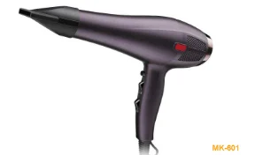 Professional Salon Hair Dryer