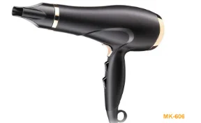 DC Hair Drier