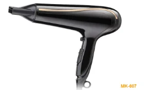 DC home use hair dryer