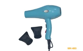 Ionic hair dryer